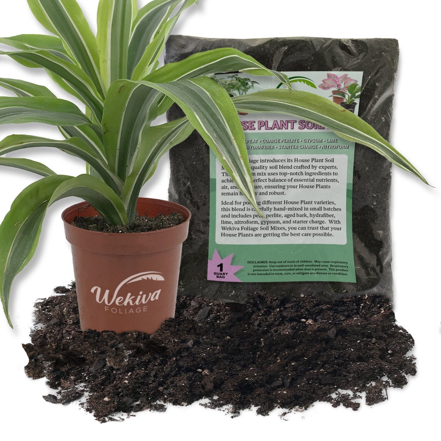 soil mix for dracaena Wekiva Foliage Dracaena Lemon Lime and Soil Mix Combo-Live Plant in a 4 in. Pot with 1 Quart Houseplant Soil Mix-Dracaena Warneckii