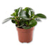 LM-IMAGE-145857144-