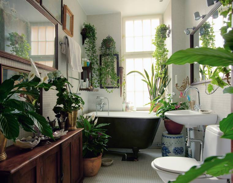 Winter’s Best-Kept Secret: The Simple Tricks to Houseplant Happiness