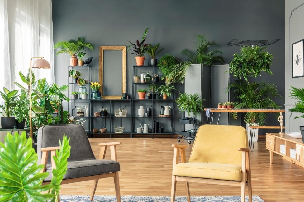 How to Rescue and Revive Neglected Houseplants Like a Pro