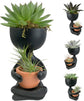 Zen Harmony Planter - Live Plants in a Decorative Pot - Cactus Succulent Air Plant - A Symbol of Serenity and Natural Beauty
