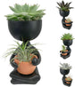 Zen Harmony Planter - Live Plants in a Decorative Pot - Cactus Succulent Air Plant - A Symbol of Serenity and Natural Beauty