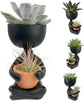 Zen Harmony Planter - Live Plants in a Decorative Pot - Cactus | Succulent | Air Plant - A Symbol of Serenity and Natural Beauty