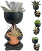 Zen Harmony Planter - Live Plants in a Decorative Pot - Cactus Succulent Air Plant - A Symbol of Serenity and Natural Beauty