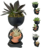 Zen Harmony Planter - Live Plants in a Decorative Pot - Cactus Succulent Air Plant - A Symbol of Serenity and Natural Beauty