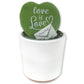 Hoya Message Plant - Hoya Kerrii Heart - Live Plant in a 2 Inch Pot - Hoya Kerrii - Rare Cactus Succulent from Florida