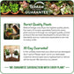 Monthly Plant Subscription Box – Curated Live Houseplants Handpicked Just for You – Delivered to Your Door – Perfect Gift for Home Decor & Plant Lovers