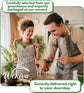 Monthly Plant Subscription Box – Curated Live Houseplants Handpicked Just for You – Delivered to Your Door – Perfect Gift for Home Decor & Plant Lovers