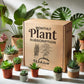 Monthly Plant Subscription Box – Curated Live Houseplants Handpicked Just for You – Delivered to Your Door – Perfect Gift for Home Decor & Plant Lovers