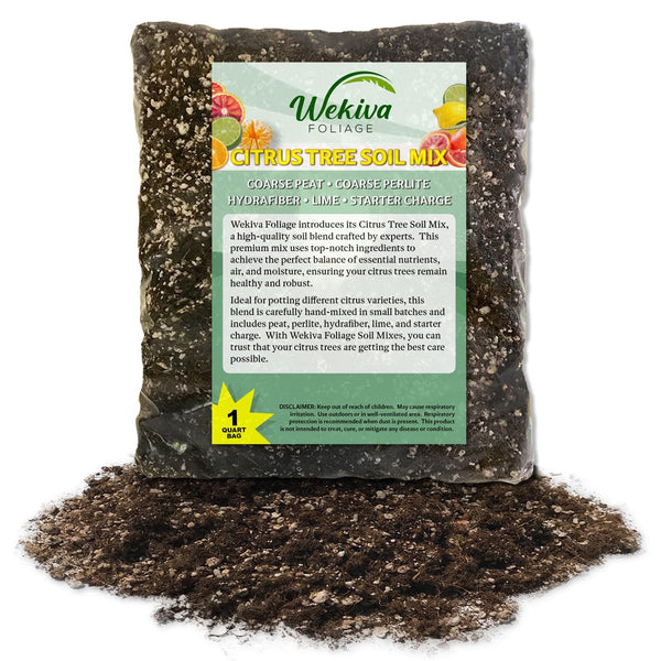 Citrus Growing Soil Mix – Custom Soil Blend – Potting Mix for