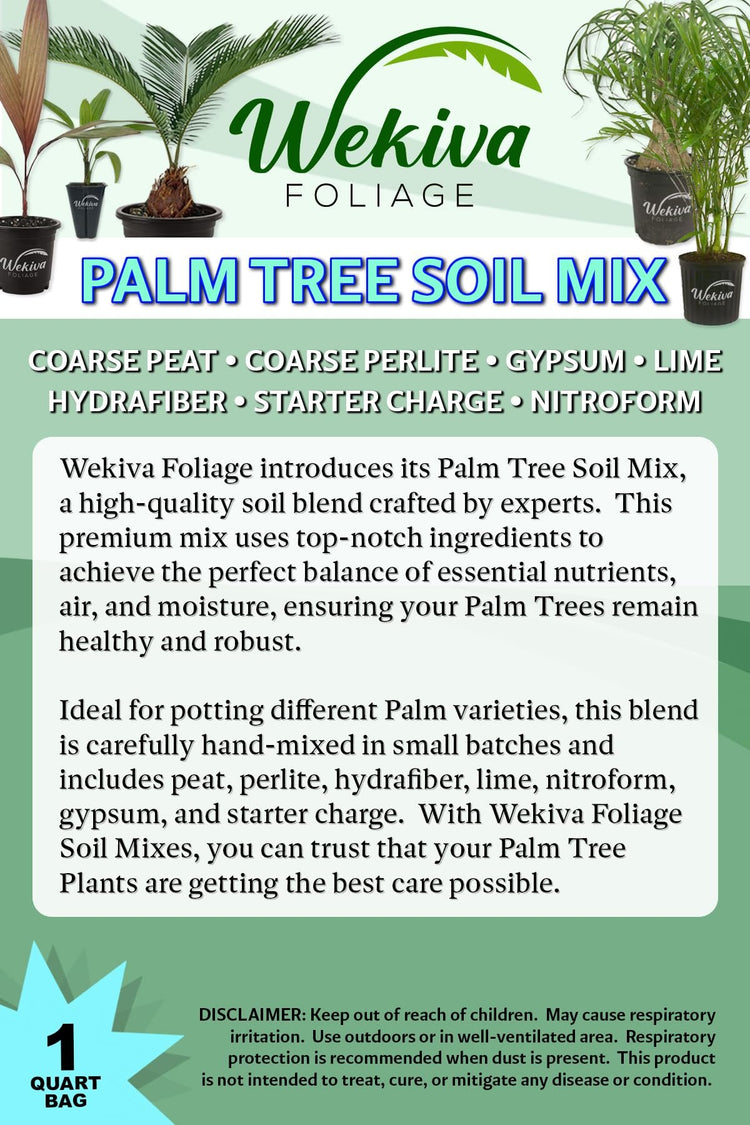 areca palm potting mix Palm Tree Growing Soil Mix – Custom Soil Blend – Potting Mix for Palm – Wekiva Foliage