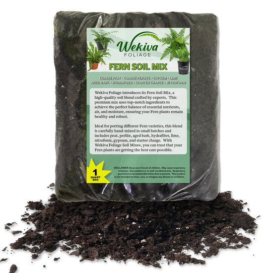 Fern Growing Soil Mix – Custom Soil Blend – Potting Mix for Fern Plants – Specially Developed by and for Professional Nursery Growers - Nutrient-Rich Formula