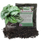 Satin Pothos and Soil Mix Combo - Live Plant in a 4 Inch Pot with 1 Quart HousePlant Soil Mix - Scindapsus Pictus with Custom Soil Blend