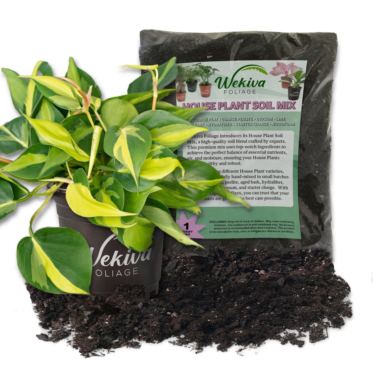 philodendron potting soil mix Wekiva Foliage Brasil Philodendron and Soil Mix Combo-Live Plant in a 4 in. Pot with 1 Quart Houseplant Soil Mix