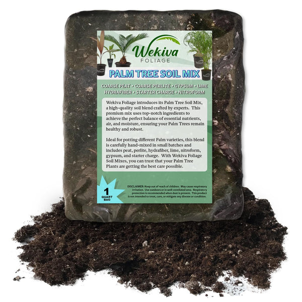 kentia palm potting mix Palm Tree Growing Soil Mix – Custom Soil Blend – Potting Mix for Palm –  Wekiva Foliage