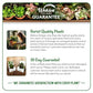 Blueberry Plant - 3 Live Starter Plants - Vaccinium - Edible Fruit Bearing Bush for The Patio and Garden