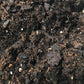 Fern Growing Soil Mix – Custom Soil Blend – Potting Mix for Fern Plants – Specially Developed by and for Professional Nursery Growers - Nutrient-Rich Formula