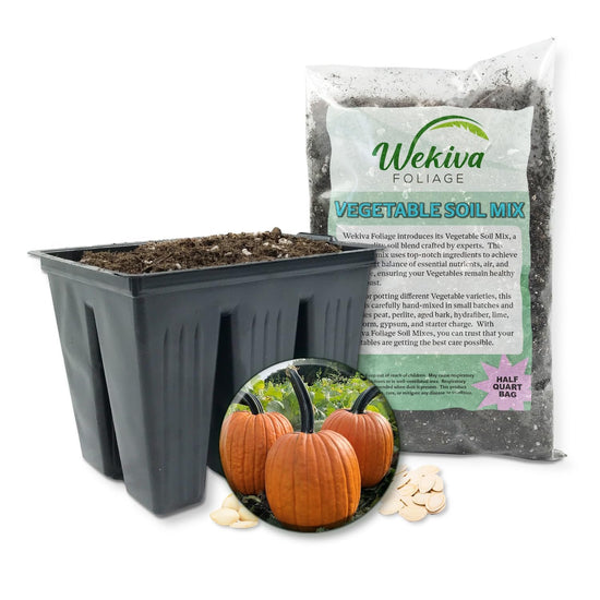 Pumpkin Seed Starter Kit - Pumpkin Seeds with Tray Line and Half Quart Vegetable Soil Mix - Grow Your Own Vegetables