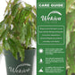 LM-IMAGE-94616841-