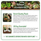 Croton Banana - Live Starter Plants in 3 Inch Growers Pots - Codiaeum Variegatum &