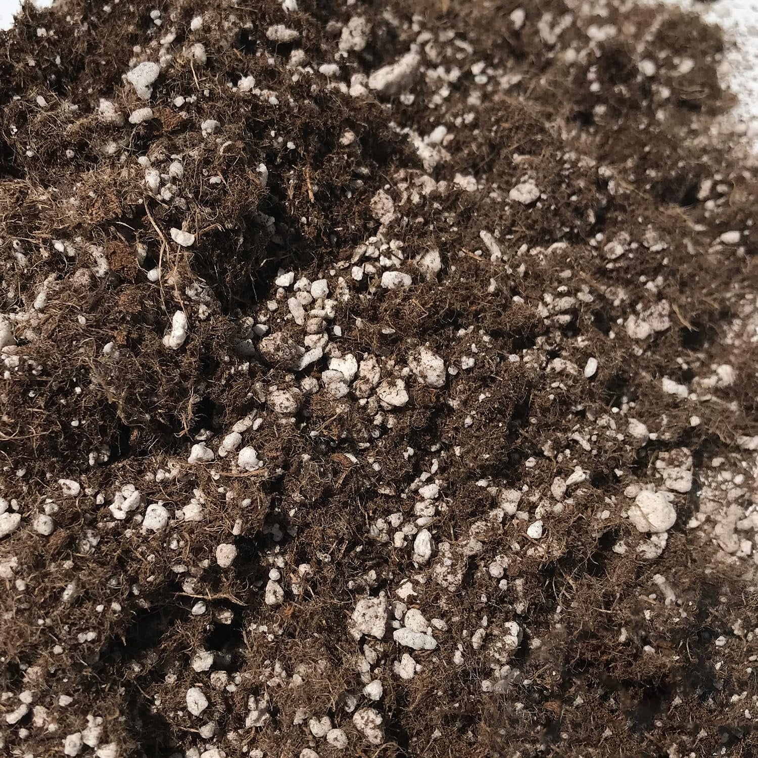 lemon tree potting soil mix Bearss Lemon Tree Growing Soil Mix – Custom Soil Blend – Potting Mix for Bearss Lemon Trees – Specially Developed by and for Professional Nursery