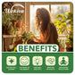 Dracaena Growing Soil Mix – Custom Soil Blend – Potting Mix for Dracaena Plants – Specially Developed by and for Professional Nursery Growers - Nutrient-Rich Formula