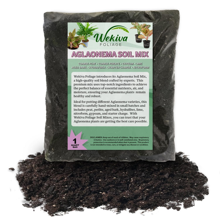 aglaonema soil recipe Aglaonema Growing Soil Mix – Custom Soil Blend – Potting Mix for Aglao – Wekiva Foliage