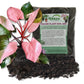 Pink Princess Philodendron and Soil Mix Combo - Live Plant in a 4 Inch Pot with 1 Quart HousePlant Soil Mix - Philodendron Erubescens ‘Pink Princess’ with Custom Soil Blend