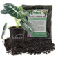Alocasia Black Velvet & Houseplant Soil Combo - Live Plant in a 4 Inch Pot with 1 Quart House Plant Soil Mix - Alocasia Reginula &