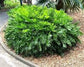 LM-IMAGE-94889670-
