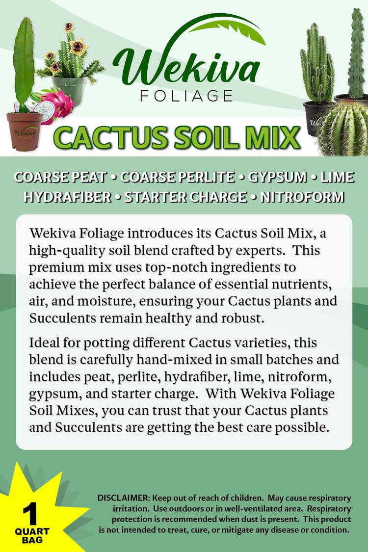 cactus potting soil ingredients Cactus and Succulent Soil Mix – Custom Soil Blend – Potting Mix for Ca – Wekiva Foliage