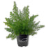 LM-IMAGE-120589323-