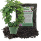 English Ivy Hoop and Soil Mix Combo - Live Plant in a 4 Inch Pot with 1 Quart Houseplant Soil Mix - Monstera Dubia with Custom Soil Blend