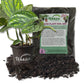Monstera Peru and Soil Mix Combo - Live Plant in a 4 Inch Pot with 1 Quart HousePlant Soil Mix - Monstera Karstenianum with Custom Soil Blend