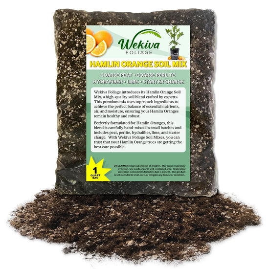Hamlin Orange Tree Growing Soil Mix – Custom Soil Blend – Potting Mix for Hamlin Orange Trees – Specially Developed by and for Professional Nursery Growers - Nutrient-Rich Formula