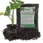 Alocasia Mickey Mouse Plant & Houseplant Soil Combo - Live Plant in a 4 Inch Pot with 1 Quart House Plant Soil Mix - - Xanthosoma Sagittifolium Variegatum Monstrosum with Custom Soil Blend