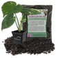 Thai Constellation Monstera Soil Mix Combo - Live Plant in a 4 Inch Pot with 1 Quart HousePlant Soil Mix - Monstera deliciosa &