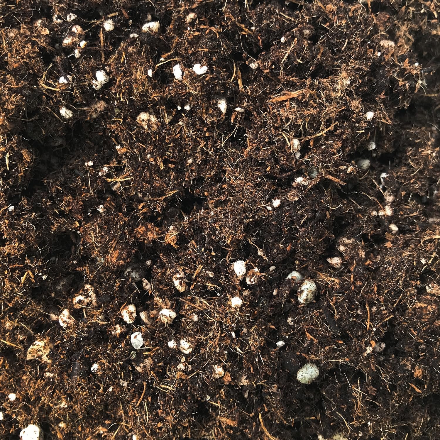 areca palm soil mixture Palm Tree Growing Soil Mix – Custom Soil Blend – Potting Mix for Palm Trees – Specially Developed by and for Professional Nursery Growers