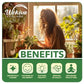 Avocado Tree - Grafted - Live Plant in a 3 Gallon Growers Pot - Persea Americana - Beautiful Edible Fruit Bearing Tree for Patio and Garden