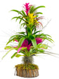 Bromeliad and Air Plant Tree - Live Plants - Hand Crafted Plant Arrangement - Air Purifying - Florist Quality Colorful Indoor Tropical Houseplant -12 Inches Tall