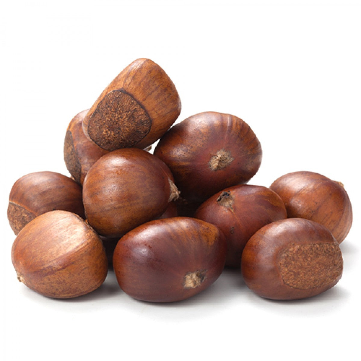 Chinese Chestnut Tree - Live Plant in a 3 Gallon Pot - 3-4 Feet Tall ...