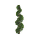 Eugenia Spiral Topiary - Live Plant in a 10 Inch Pot - Eugenia Myrtifolium - Beautiful Outdoor Topiary for The Patio and Garden