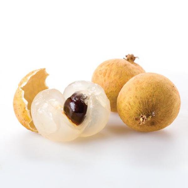 longan tree live plant in a 10 inch growers pot Longan Tree - Live Plant in a 10 Inch Growers Pot - Dimocarpus Longan