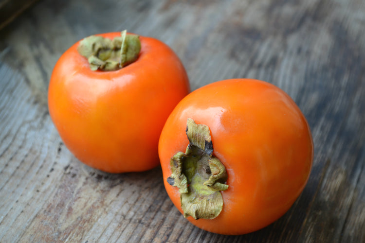persimmon tree live plant in a 4 inch pot Persimmon Tree - Live Plant in a 4 Inch Pot - Diospyros Virginiana