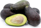 Avocado Tree - Live Tree in a 3 Gallon Pot - Grower&