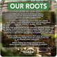 Pineapple Plant - 2 Live Tissue Culture Starter Plants - Ananas Comosus - Edible Fruit Tree for The Patio and Garden