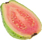 Ruby Supreme Guava Tree - Live Tree in a 3 Gallon Pot - Psidium Guajava &