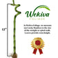Lucky Indoor Bamboo - Live Plants - Ships Bare Root - 5-Pack of 12 Inch Curly Stalks - Air Purifying Feng-Shui Zen Garden Houseplants