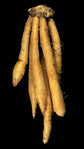 Chinese Keys Ginger - Live Starter Plants - Boesenbergia Rotunda - Grow Your Own Vegetables and Fruit in The Garden or Patio
