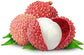 Brewster Lychee Tree - Live Tree in a 3 Gallon Pot - Litchi Chinensis &